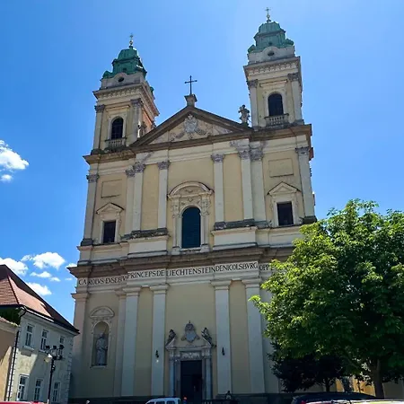 The Eleven فالتيس