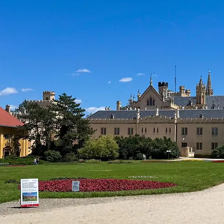 The Eleven فالتيس